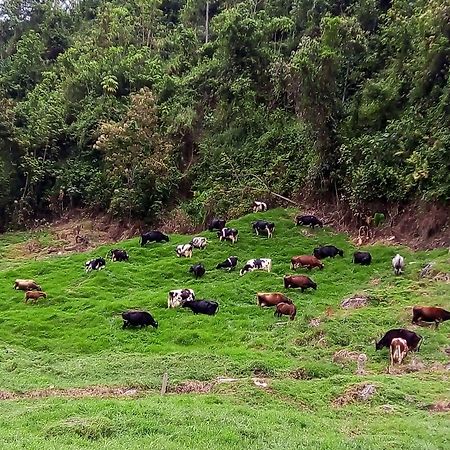 La Lucia Villa Manizales Exterior photo