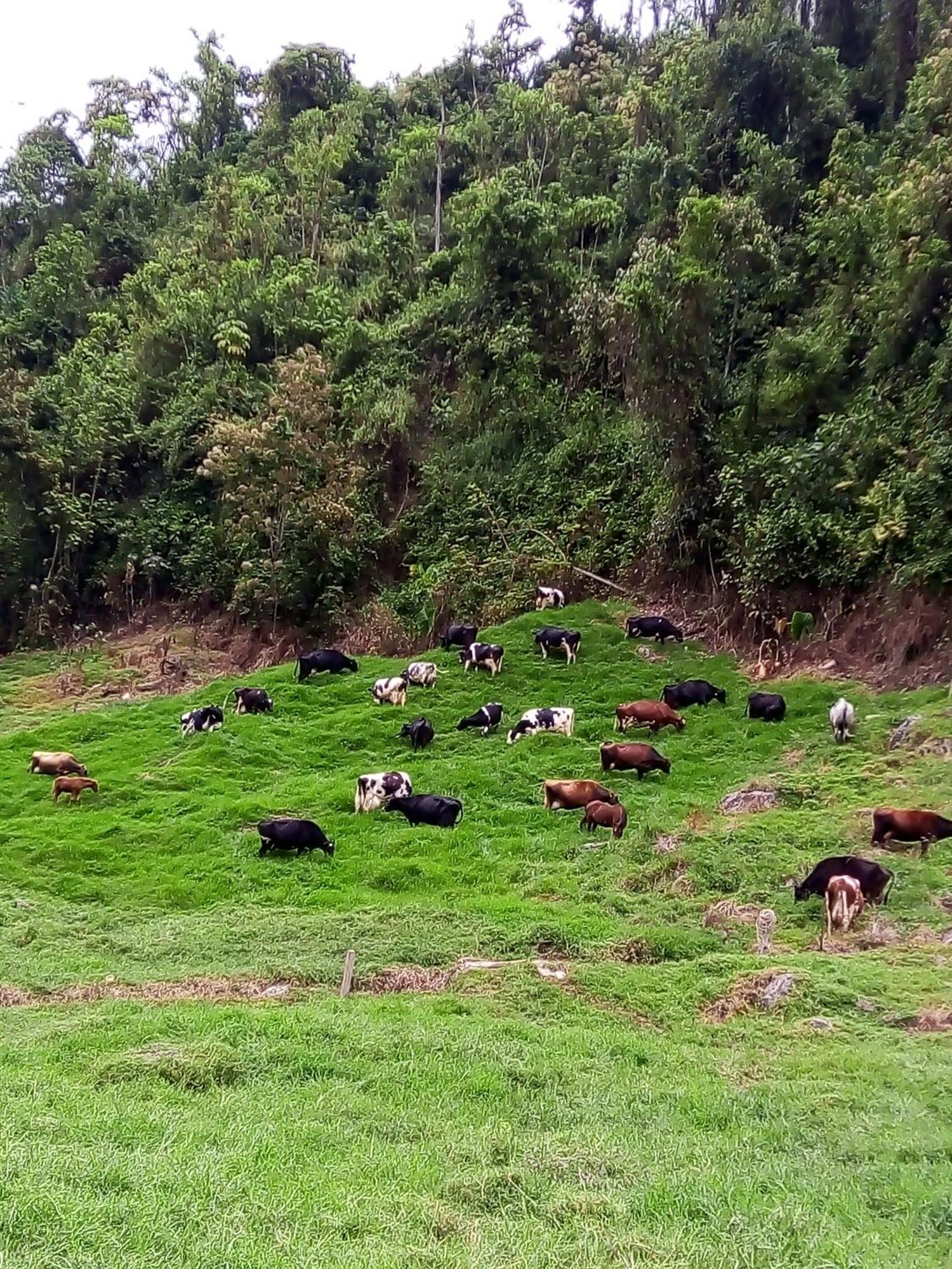 La Lucia Villa Manizales Exterior photo